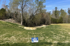 IMG_7817