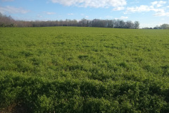 k.-Balderson-Vetch-4.2