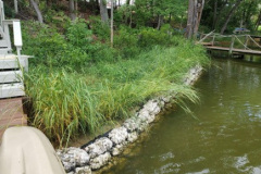Picture1